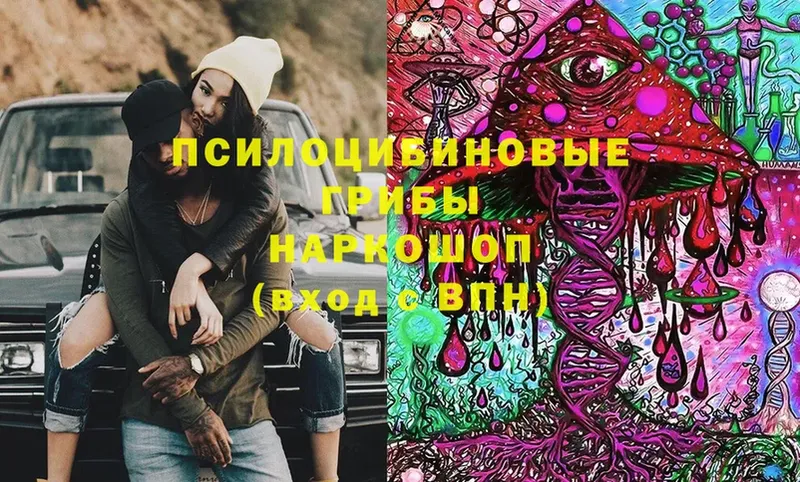 Галлюциногенные грибы Psilocybine cubensis  Ухта 